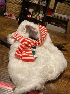 Frisco Front walking snowman dog or cat costume